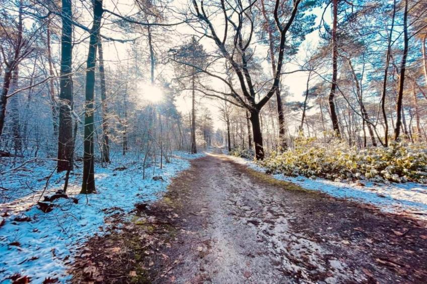 Vakantie bij Meeussen - Schuttersoord 4 - foto 40
