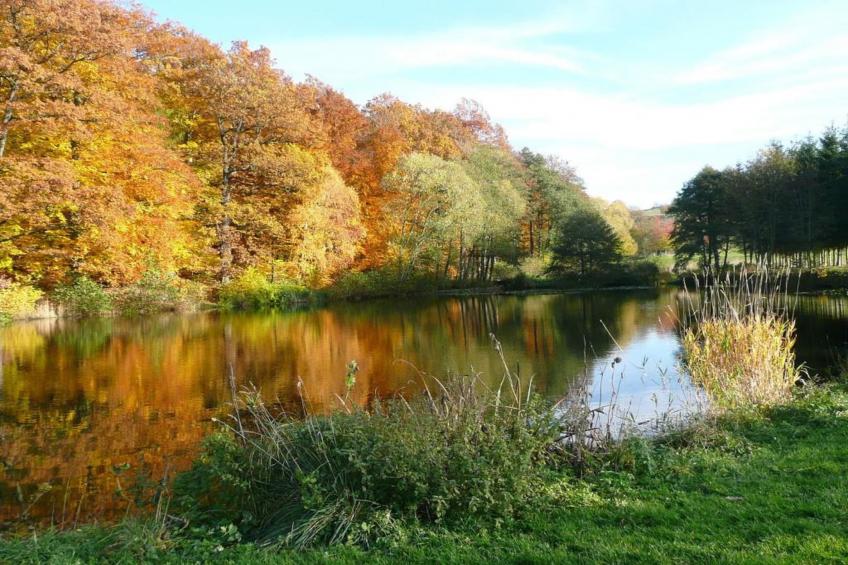 Fachwerkhaus Thüringen - foto 30