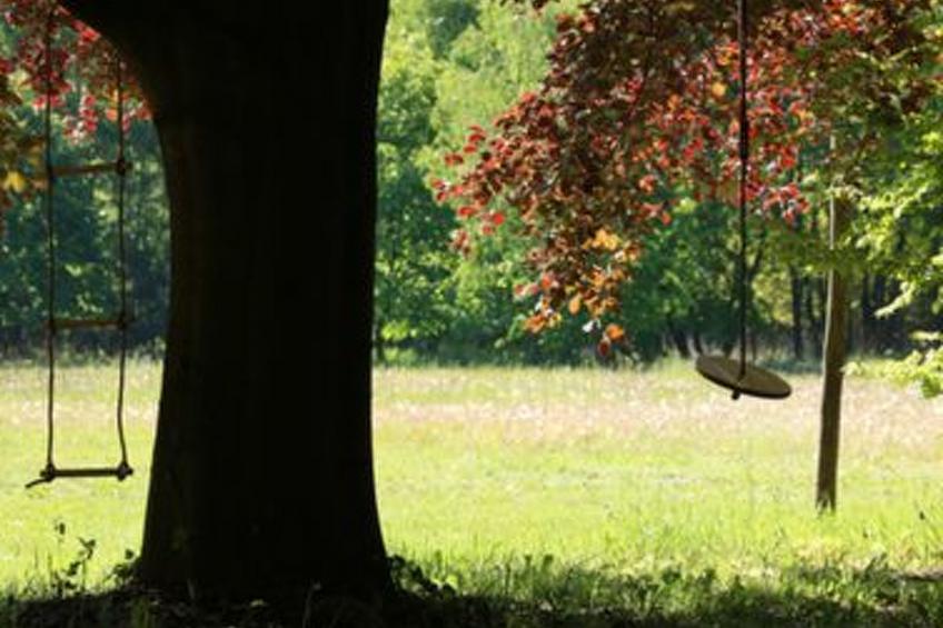 Heidebos für 8 Personen - foto 13