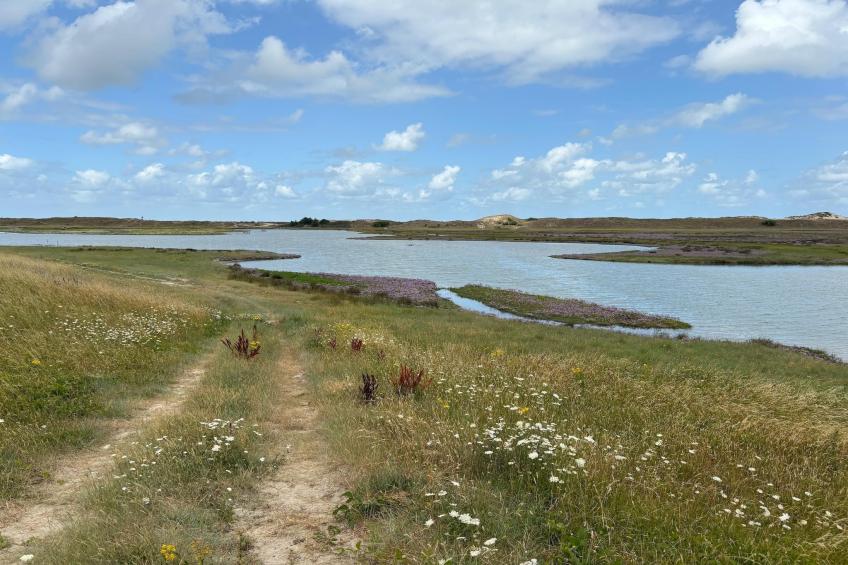Appartement De Biezenpolder - foto 35