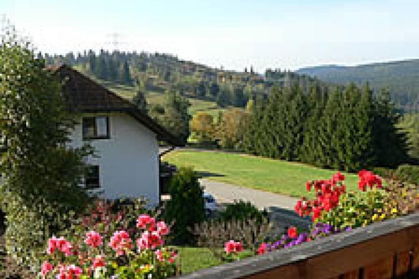 13813 - foto 4