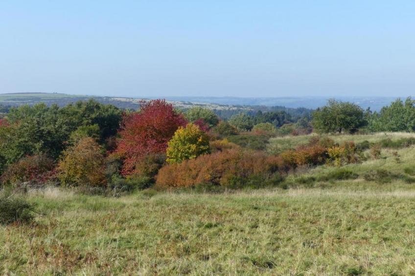 Morsbacher Hof III - foto 34