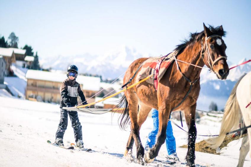 VVF Les Ecrins Champsaur