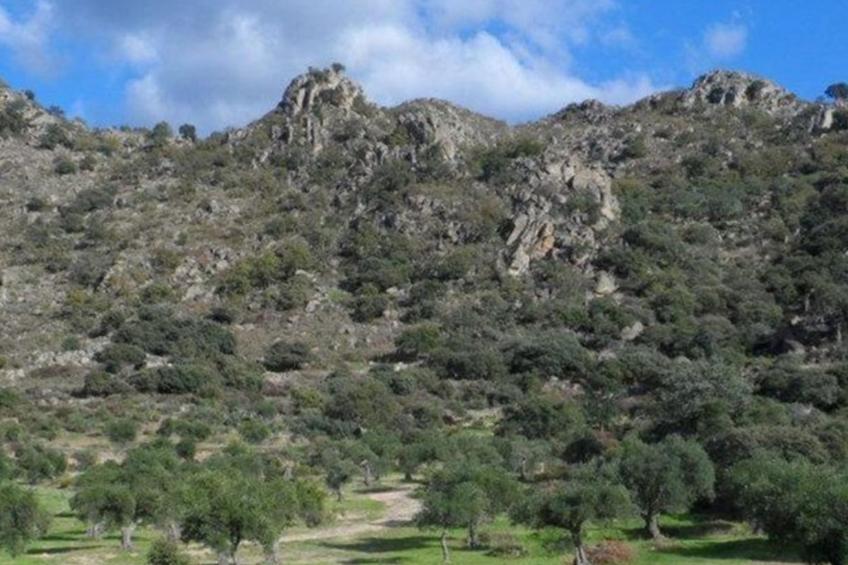 The Barn at Finca al-manzil - foto 19