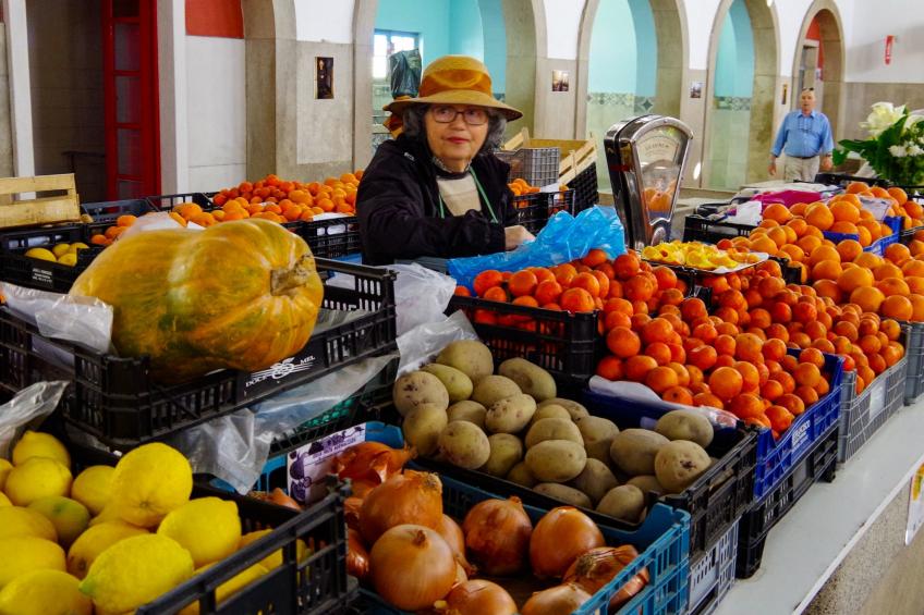 Casa Margarida Azul - foto 15