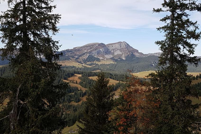 Fewo Wychelboden - foto 12