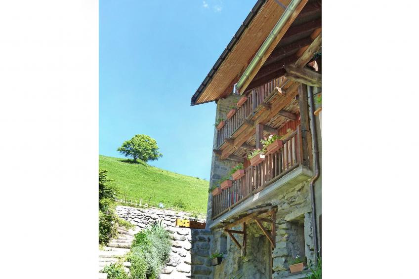 Vista Mont Blanc - foto 3