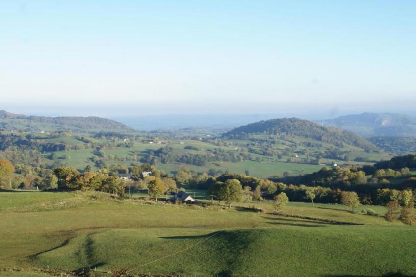 La Prentegarde - foto 28