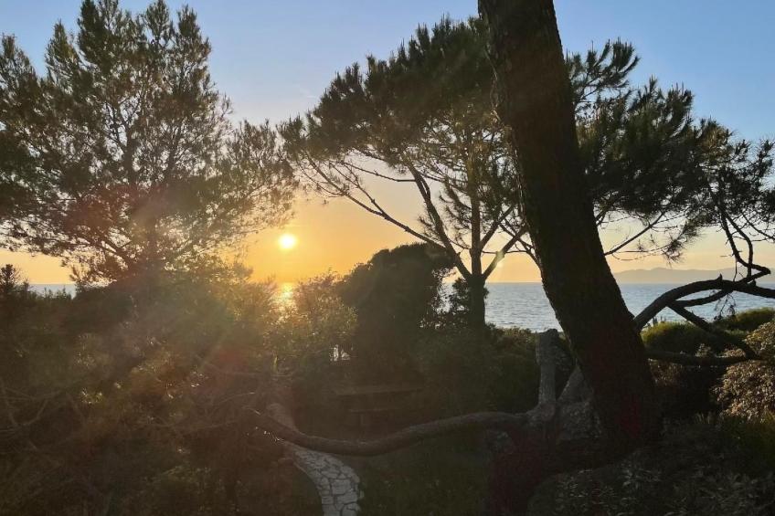 Villa Giacaranda - foto 22