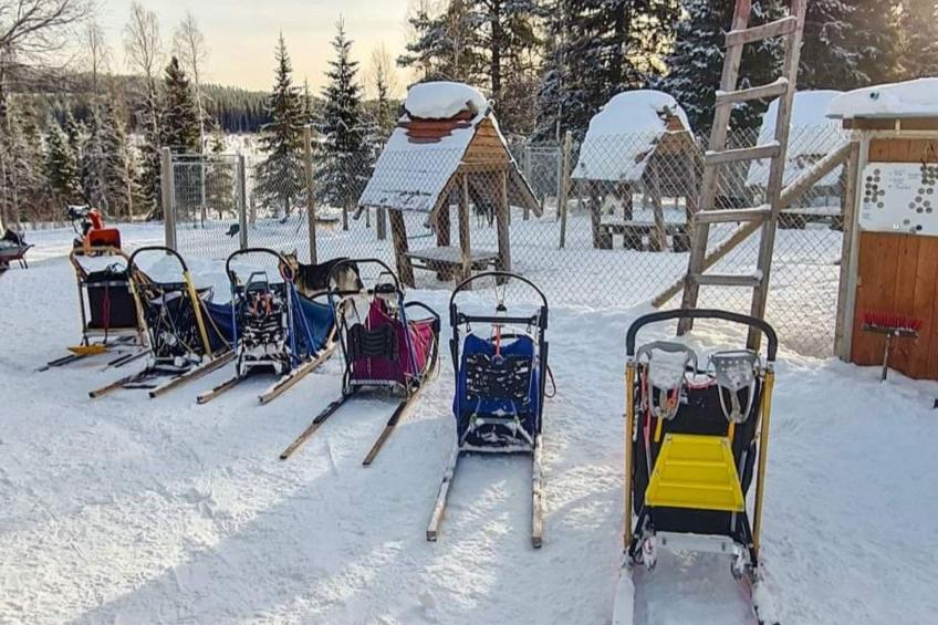 Villa Hugo - foto 36