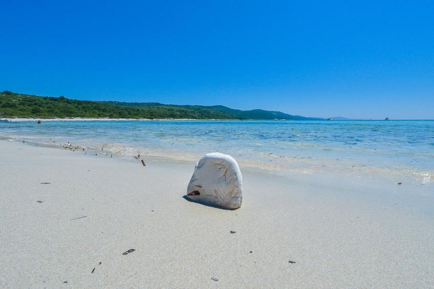 "Sakarun" mit Blick auf das Wasser - foto 41