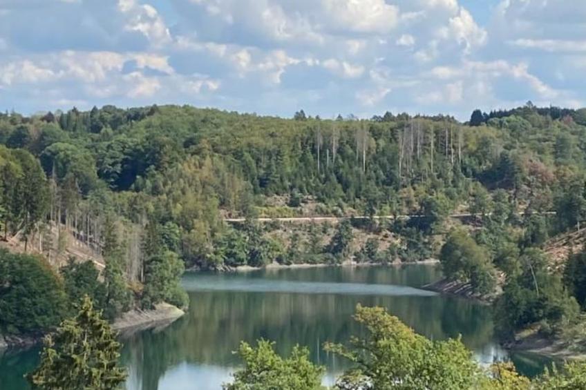 Gartenblick - foto 40