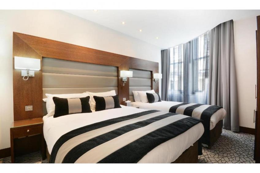 Deluxe Triple Room - foto 10