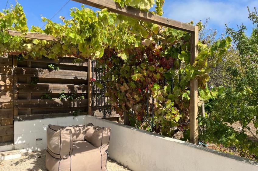 Schönes Landhaus mit Tauchbecken, Strand 3km - foto 19