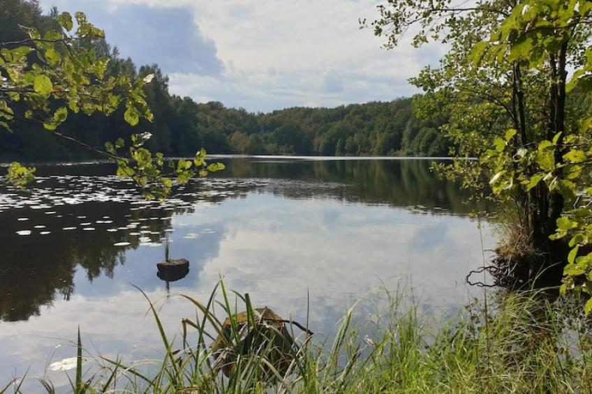 maison de vacances, Czestkowo - foto 34