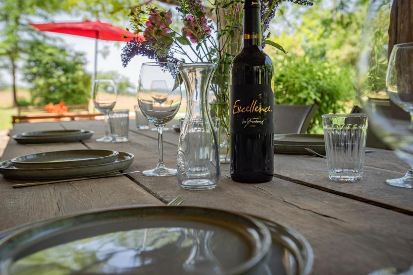 Domaine Saint Martin le Redon - foto 19