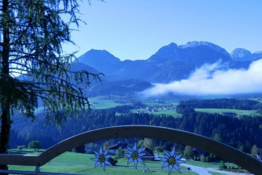 Luxusappartment - foto 33