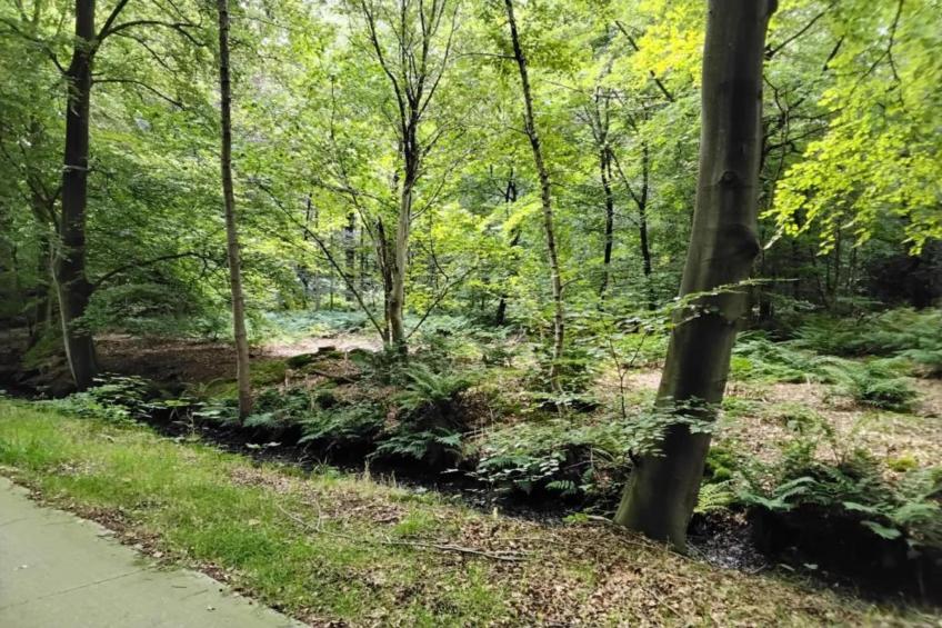 Recreatiepark Idskenhuizen 6 - foto 35