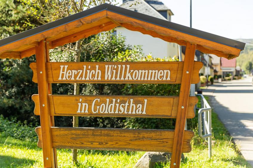 Goldisthal - foto 20
