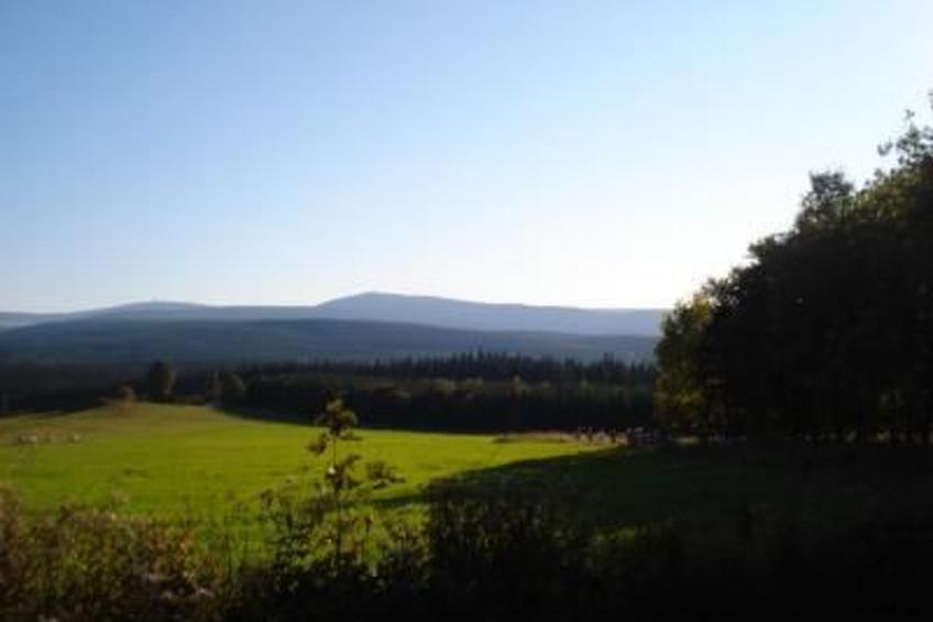 Fewo-Dorfblick - foto 23