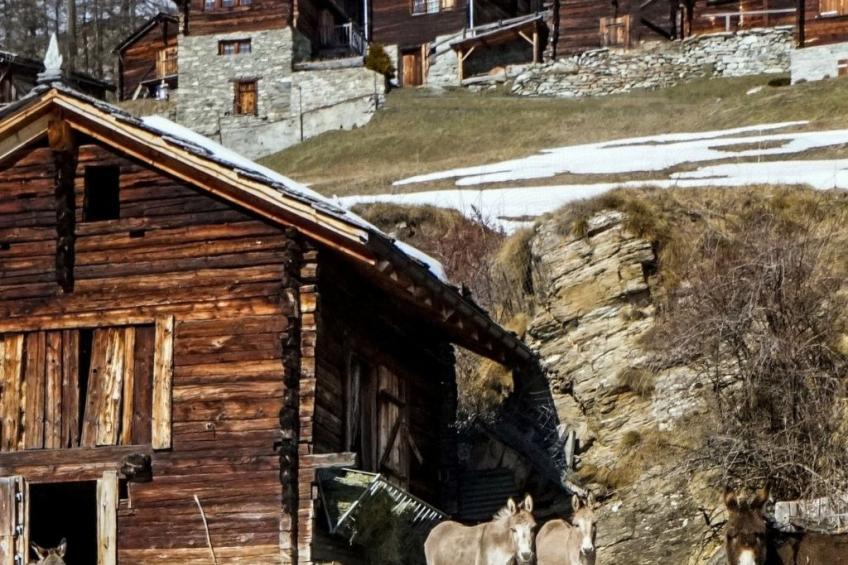 Chalet 1679 - foto 5