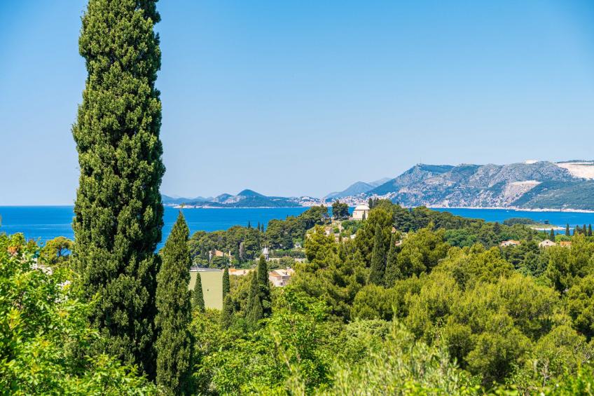 Villa Alegria Cavtat - Comfort Two Bedroom Apartment with Sea View (Apartment C) - foto 18