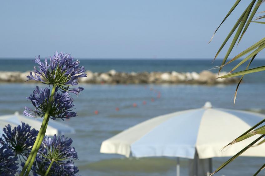 Wohnung in Strandnähe - foto 12