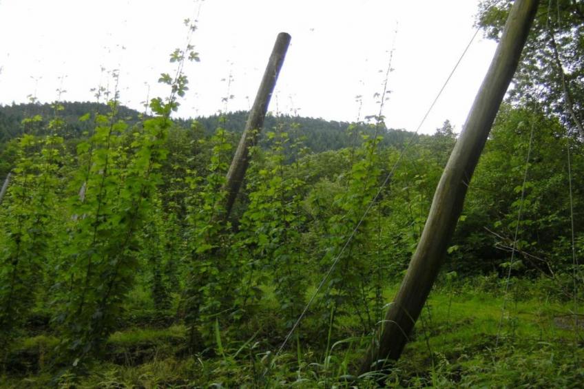 Resort Echternacherbrück 2 - foto 35