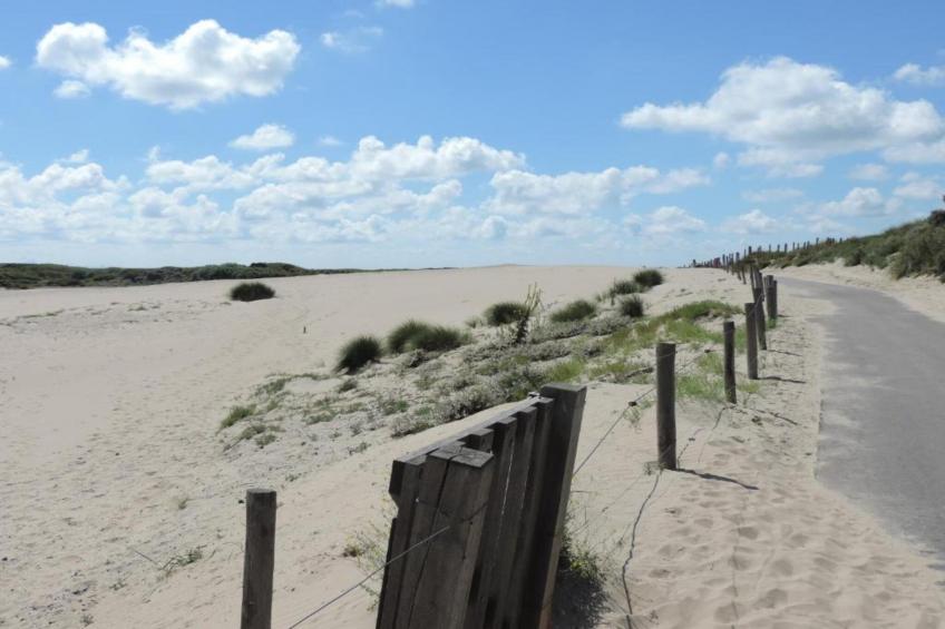 Harbour 40 - foto 33