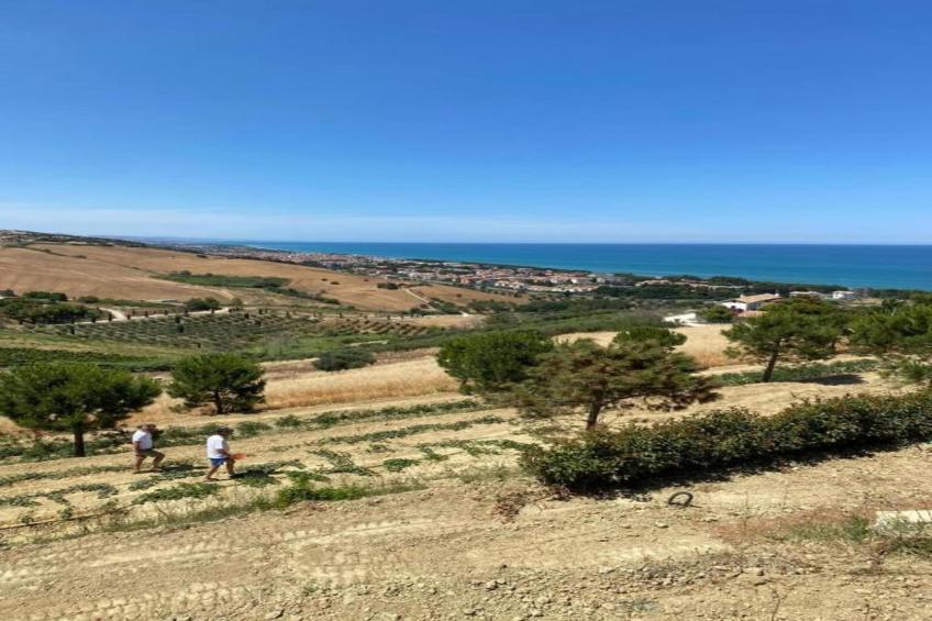MAISON PISCINE AU CALME A PINET - foto 39