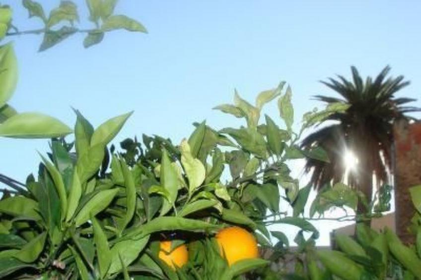 Feriendorf "Hort de la Cinteta". - foto 8