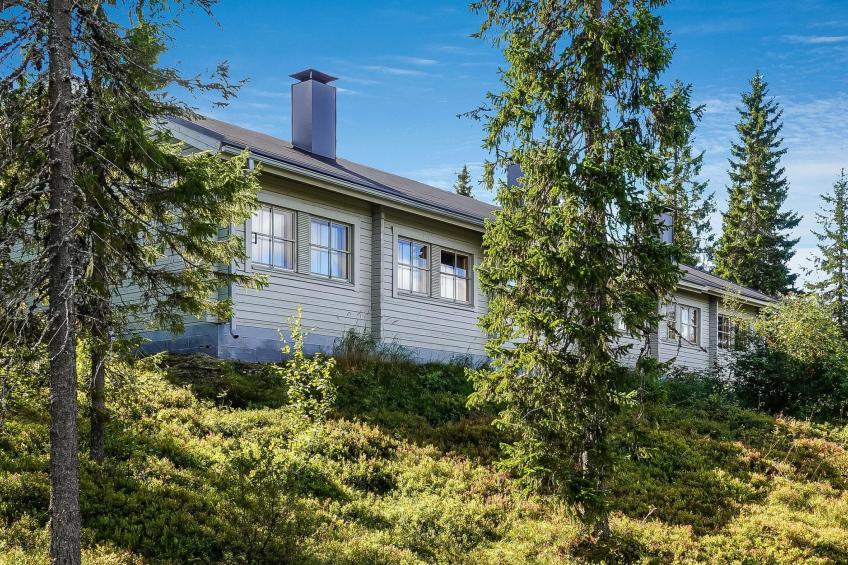 Lupposyöte b1 - foto 2