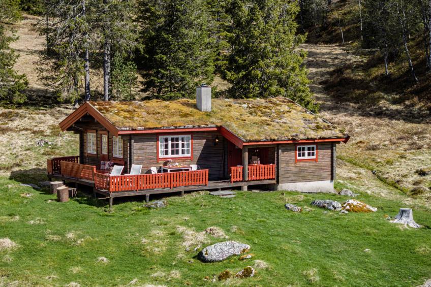 Fjellbris (FJS106) - foto 28