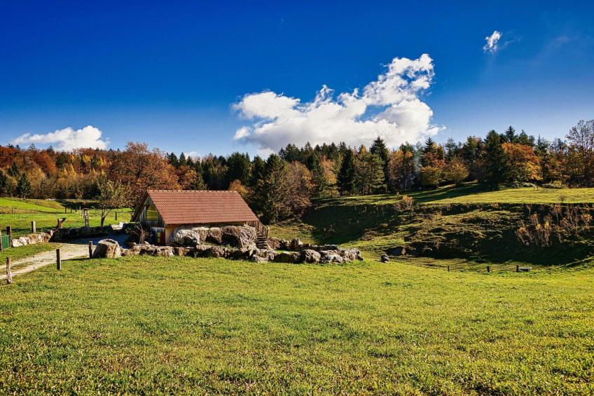 Visnja Gora Meadow Hideaway with Terrace - One Bedroom Cottage with Terrace (owner Hiška na skalci) - foto 18
