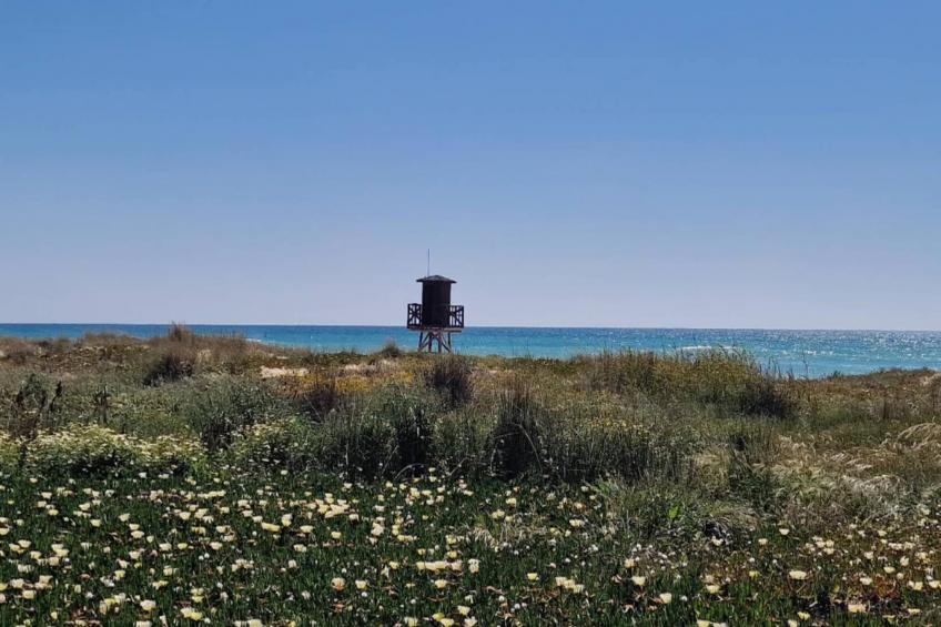 5024 -+34672427629 - foto 21