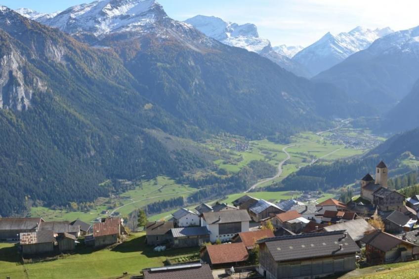 Biohof Furn - foto 11