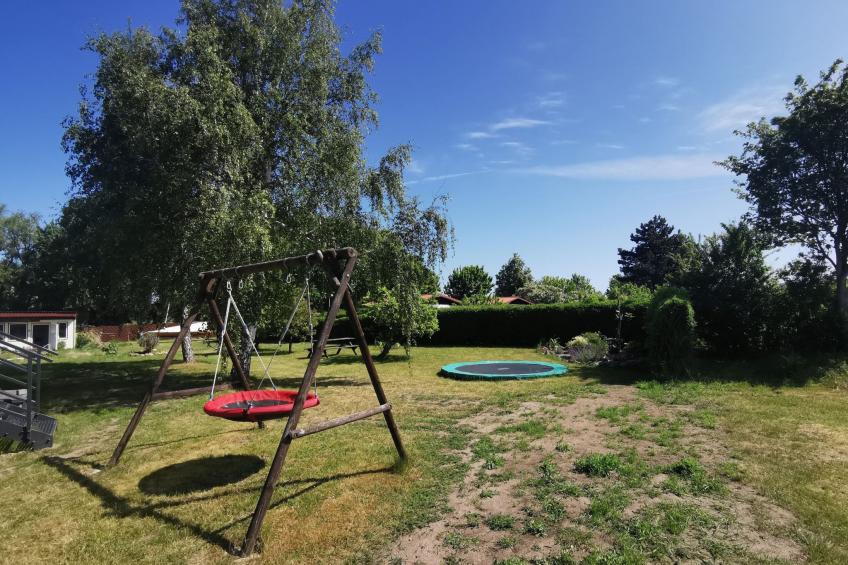 Boddenferienhaus - 13 Treibholz - foto 28