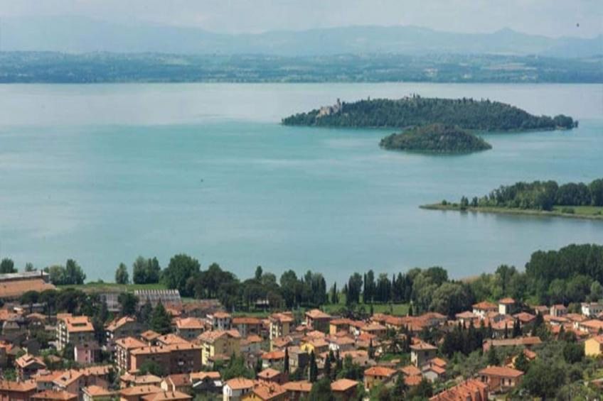 Nespolo Uno - foto 31
