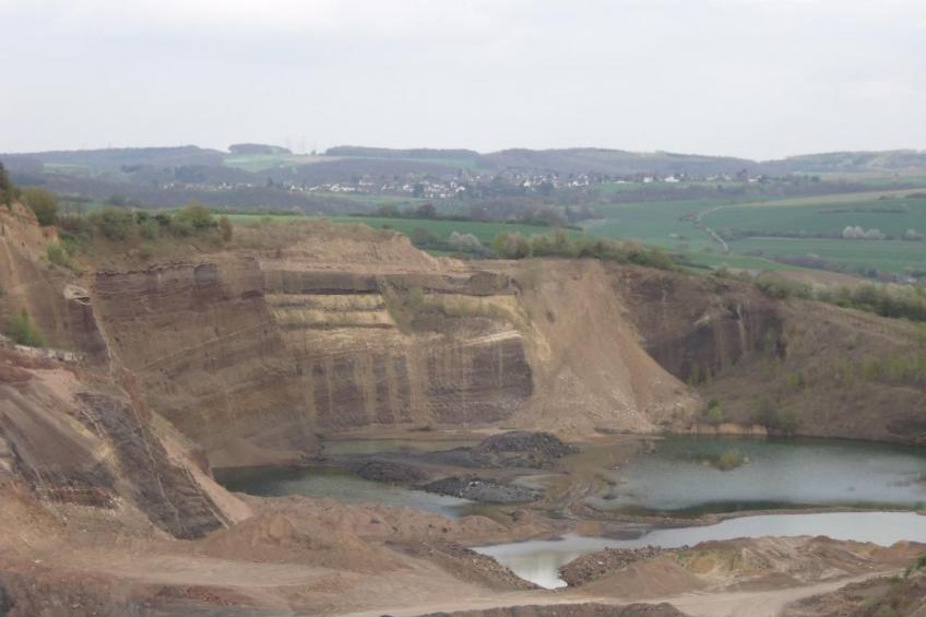 Am Waldrand - foto 32