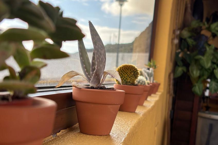 Haus mit beheiztem Schwimmbad, Berg- und Meerblick - foto 37