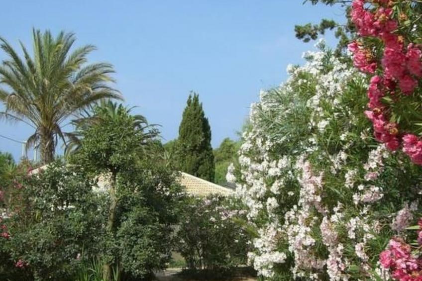 Schöner zentraler Bungalow direkt am Sandstrand auf Sizilien - foto 4