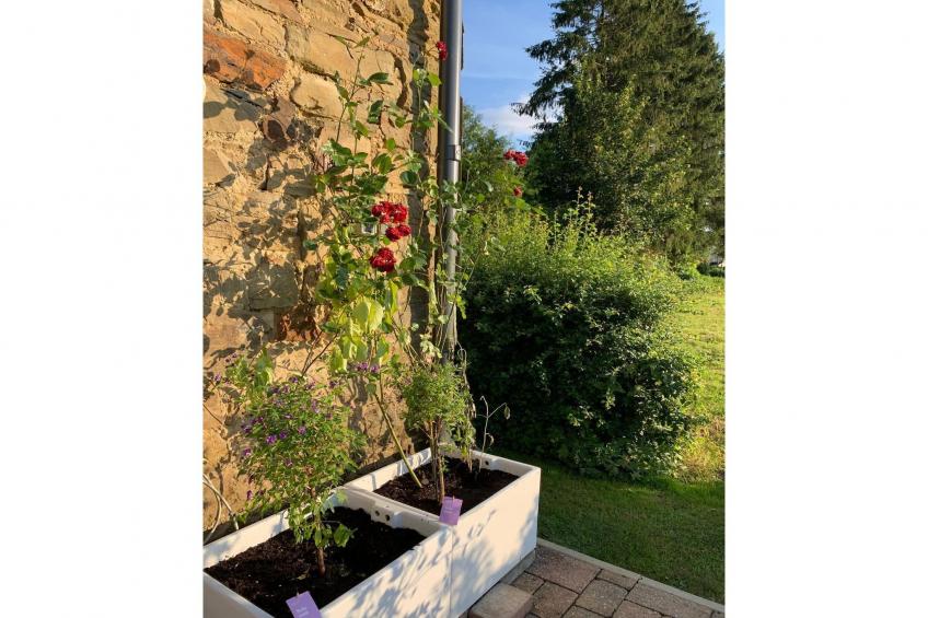 Haus Hunnenberg - foto 32