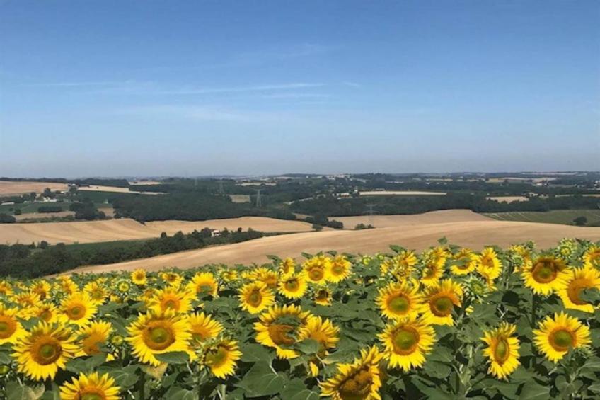 Le Chêne-Liège - foto 28