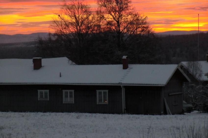 Hjortgården Stuga - foto 25