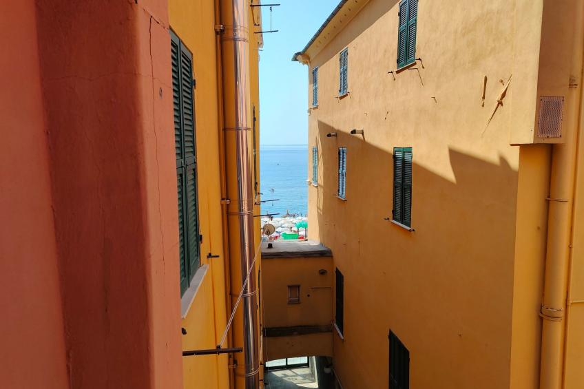 Vaze's Heart by Holiday World - foto 25