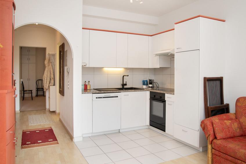 Alpes et Lac - foto 8