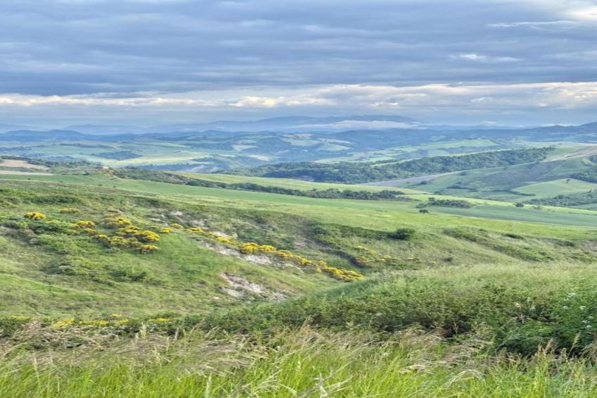 Fra Lorenzo - foto 33