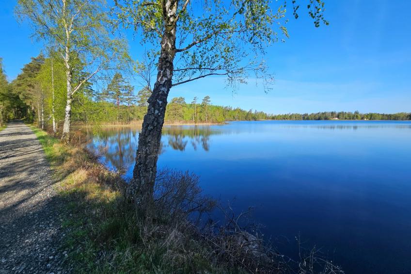Gemütliches Cottage mit Whirlpool - foto 8