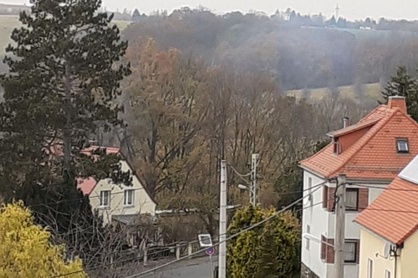 FeWo Zur Alten Drechslerei - foto 7