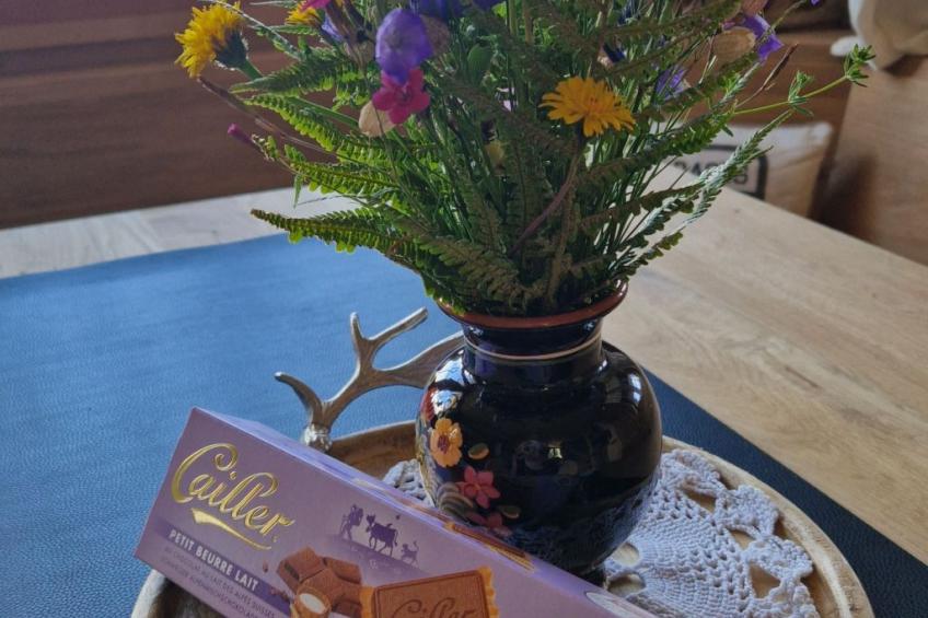 Chalet Birki Axalp - foto 22